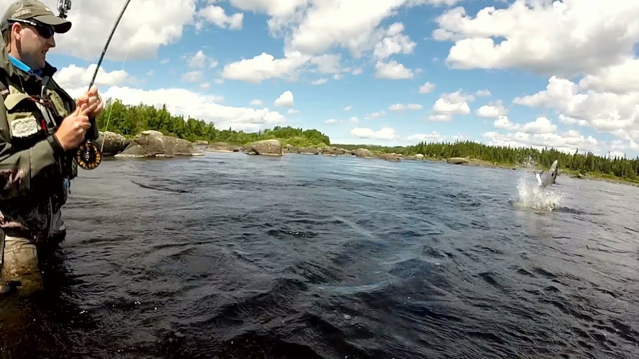 Atlantic Salmon Fishing Newfoundland July 23rd, 2017 YouTube