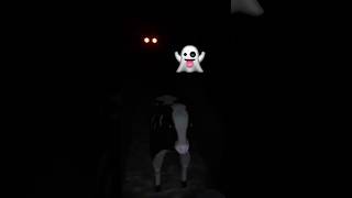 Haunted Cow....