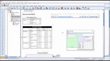 Reorganizing Output in SPSS using Pivoting Trays and Formatting Toolbar