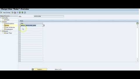 SAP License Management-Rule Based License Developer