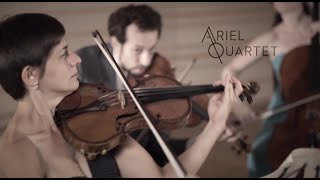 Get to Know the Ariel Quartet