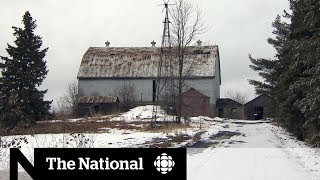 Abducted Toronto teen found safe in abandoned barn