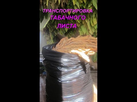 ДНЕВНИК ТАБАКОВОДА № 51 ( 6.09. Транспортировка табачного листа ) ТАБАК