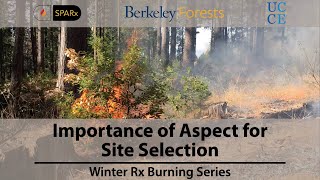 Importance of Aspect for Site Selection