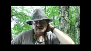 Foraging chap 2; Nettles & Jewelweed