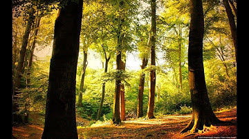 القرآن المجيد سورة المائدة كاملة / عبد الله الجهني