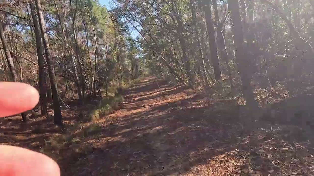 Christmas Eve 5K full video. 