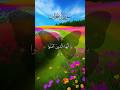 إن الل ه وملائكته يصلون على النبي ياسر الدوسري ذكرى ذكر ذكرى  سورة الأحزاب ياسر الدوسري