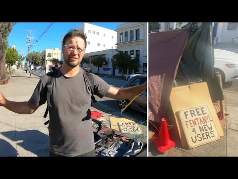 Video: San Francisco Kampeergids