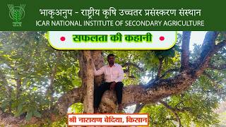 सफलता की कहानी | श्री नारायण बेदिया , किसान, झारखण्ड | ICAR - NISA ||