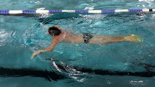 Matt - Prsia - Breastroke - Brustschwimmen