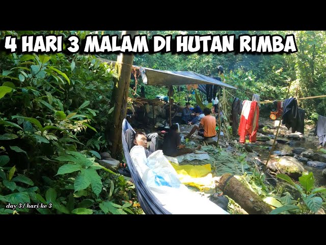 Camping Fishing Adventure Petualangan Hutan Belantara Sumatera Cari Madu Sialang Survival Part 38 class=