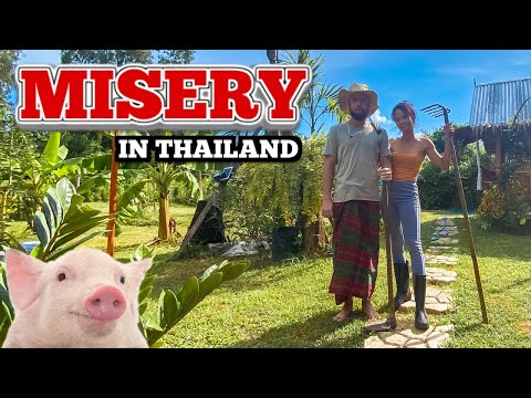 MISERY...& Expat Life In A Bamboo Hut THAILAND 🇹🇭