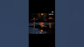 حبينا ضحكنا وعيطنا 