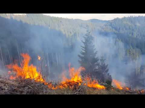 Incendiu în fondul forestier Cârlibaba, jd. Suceava