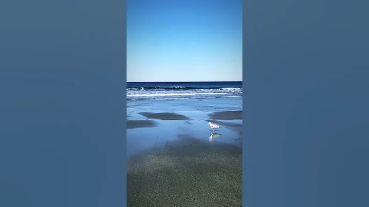 𝘊𝘩𝘦𝘳𝘪𝘴𝘩 𝘦𝘢𝘤𝘩 𝘮𝘰𝘮𝘦𝘯𝘵 𝘰𝘧 𝘺𝘰𝘶𝘳 𝘭𝘪𝘧𝘦. 🔆 #beach #vibes #ocean #waves #blue - DayDayNews