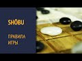 Shobu — Правила игры