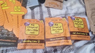 Original Sensible Seeds line up wedding cake Bruce banner 3 and GSC top line uo🏆🪴🏆🪴🏆