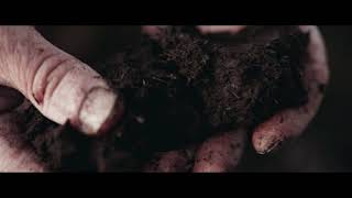 Irish Peat Artist Martin Mc Cormack