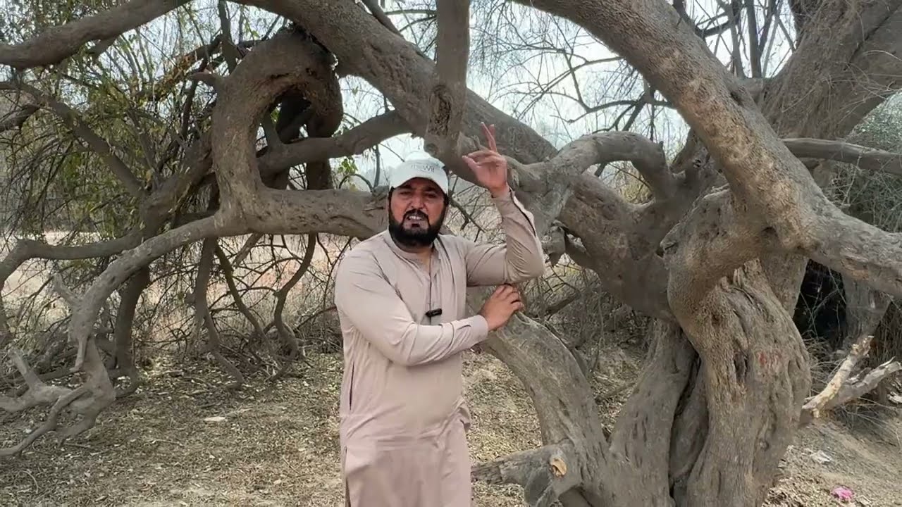 Maa Boli Punjabi Vich Tarekhi City Harappa Di Sair Part 1| Anjum Saroya Visits Harappa City History.