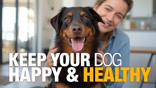 Senior Dog Care Guide 2027 | 7 Tips for a Longer, Happier Life 🐾