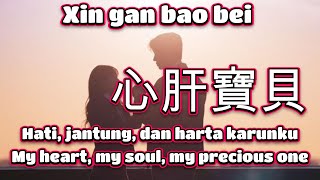心肝寶貝 Xin gan bao bei 馬健濤 Ma Jian Tao🎵cover