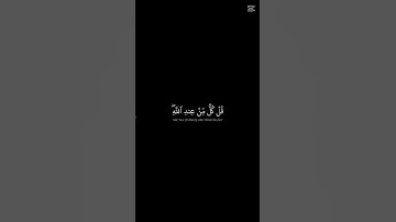 الشيخ ياسر الدوسري -  سورة النساء