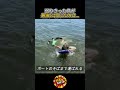 弱りきった鳥が最後に信じたのは