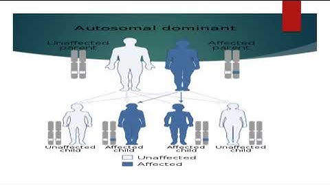 Thrombophilia   Mahmoud Hashish