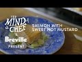 Salmon with Sweet Hot Mustard Recipe from David Kinch Mind of a Chef Powered by Breville