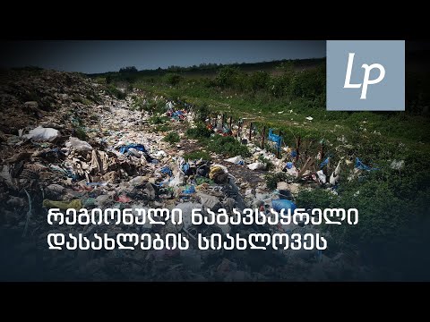 ღია ნაგავსაყრელი სახლებთან  - რა პრობლემების წინაშე დგას მოსახლეობა