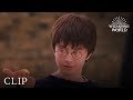 A Lesson In Quidditch | Harry Potter and the Philosopher's Stone