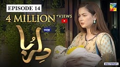 Dil Ruba | Episode 14 | Digitally Presented by Master Paints | HUM TV | Drama | 27 June 2020
