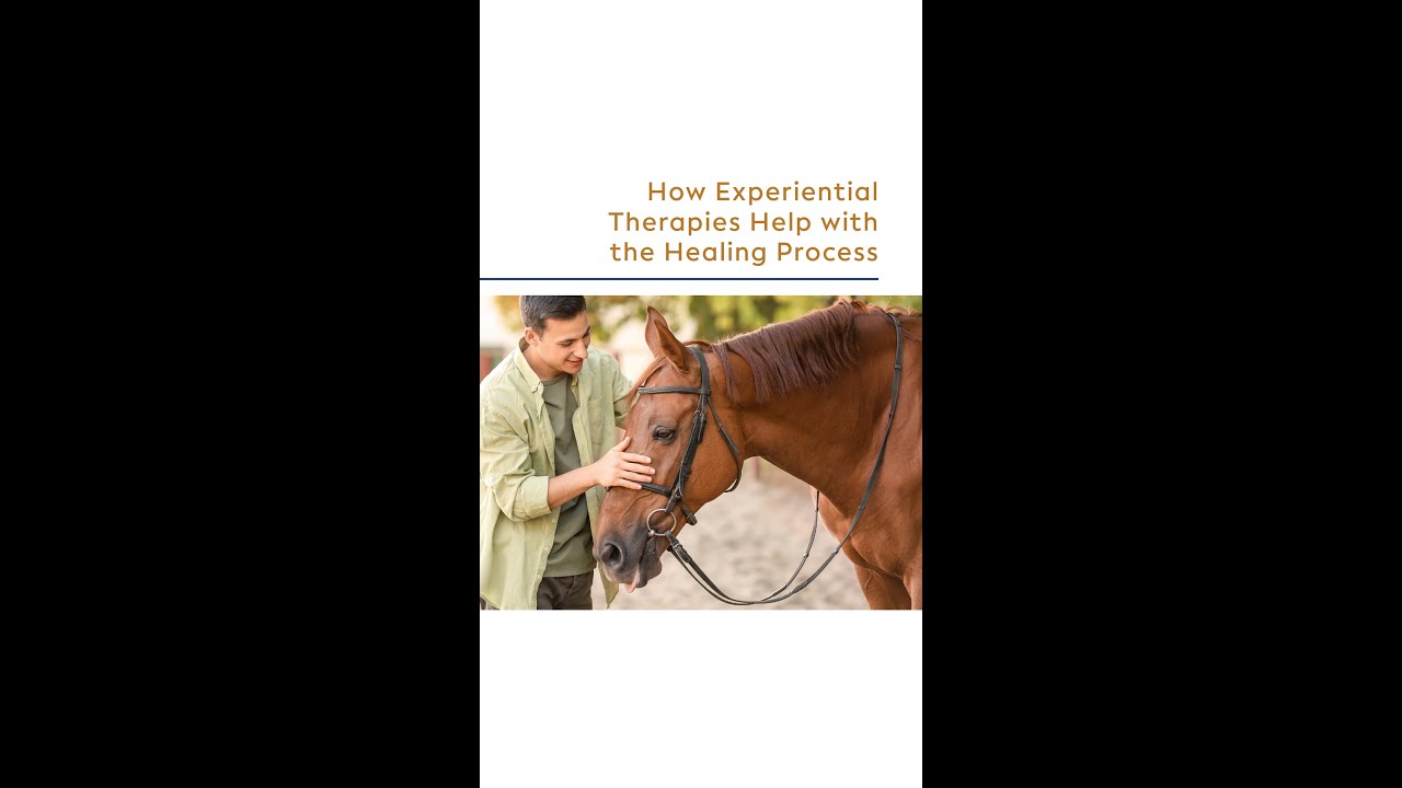 How Horses Help Heal Trauma | Equine Therapy For Mental Health Explained Simply 