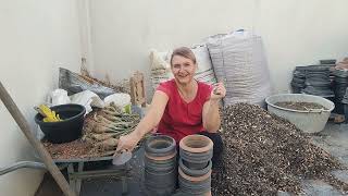 Preparando o Substrato e Replantando Rosas do Deserto, começando com as PEQUENAS!