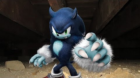 werehog speedruns be like