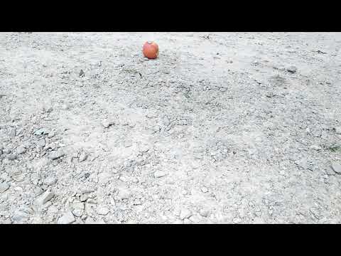 EXPLODING FRUIT!!!!!