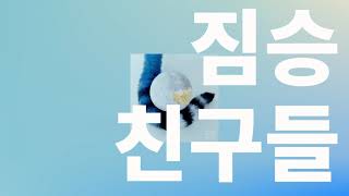 Video thumbnail of "바다를 마시고🐳, 달빛도 먹었어🌙: 니시나(nishina) - 짐승 친구들(kedamono no friends) [가사/발음/한글 자막/해석]"