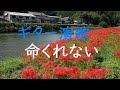 命くれない、弾いてみた