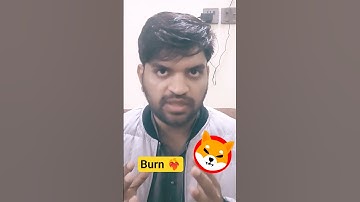 Burn Shiba Inu Coin