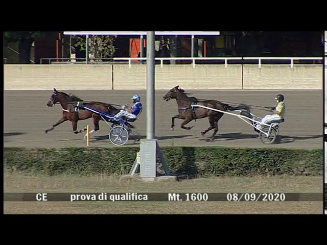 2020 09 08 | Metri 1600 | Prova di qualifica 1