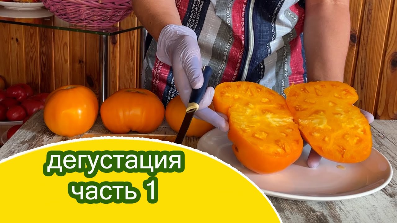 Дегустация сортовых томатов часть 1