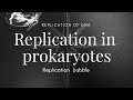 replication of DNA | replication in prokaryotes | replication bubble