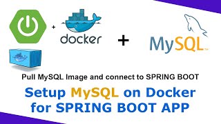 How to set up MySQL database in docker and connect sping boot app to MySQL | MySQL Docker Part - 2
