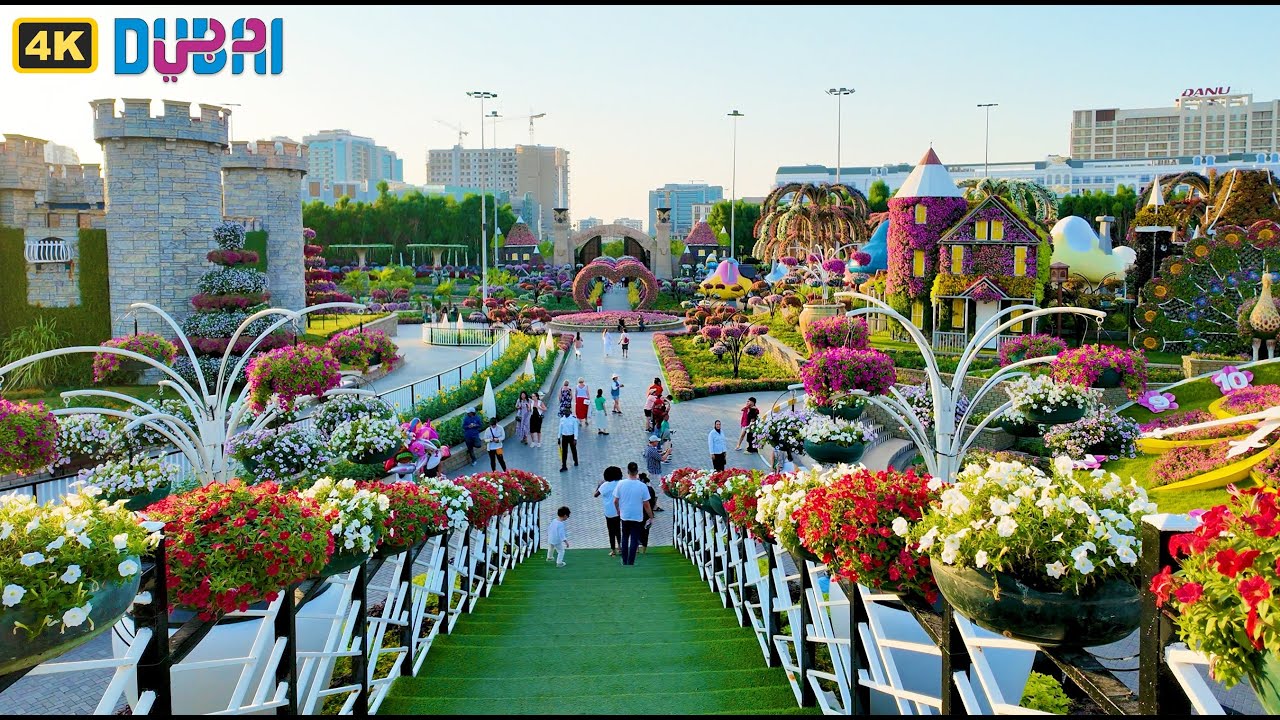 Dubai Miracle Garden Open now | Evening Walking Tour | 2 October 2024