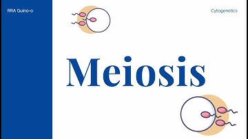 Genetic Diversity and Meiosis