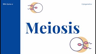 Genetic Diversity and Meiosis