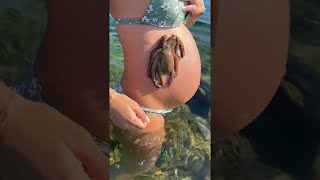 Octopus Clings To Pregnant Belly Viralhog