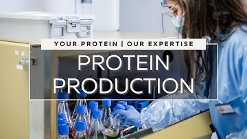 Your Protein Our Expertise - Protein Production | Rodon Biologics