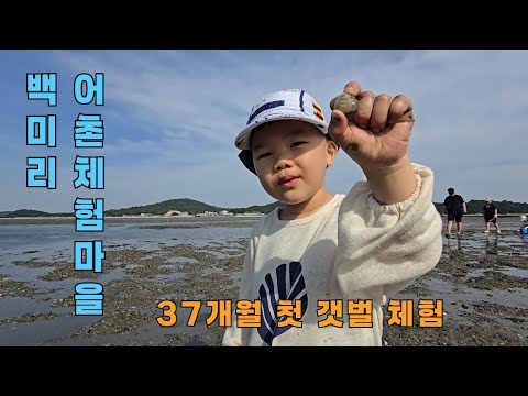 [일상] 백미리 갯벌체험하고 왔어요 😄 / 조개 / 37개월, D+1143